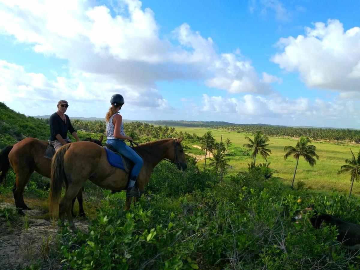 Kitesurf Tofo House - 1 Minute Walk From Beach And Center エクステリア 写真