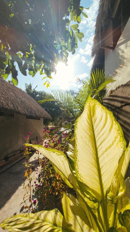 Kitesurf Tofo House - 1 Minute Walk From Beach And Center エクステリア 写真